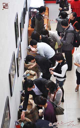 155298706013672.jpg 93.jpg